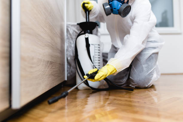 Pest Prevention Services in Cabazon, CA