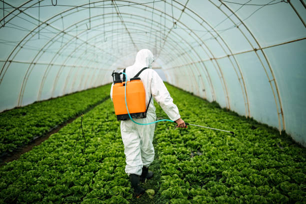 Best Pest Prevention Services  in Bazon, CA