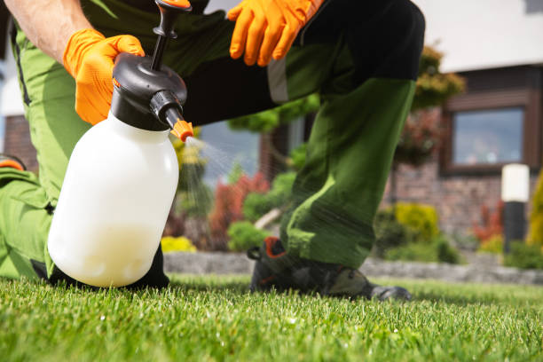 Best Pest Control Near Me in Cabazon, CA