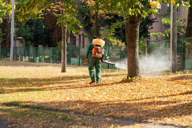 Cabazon, CA Pest Control Company